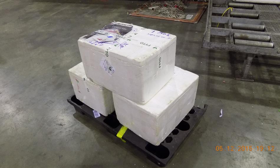 2015-12-8-953foto 1.JPG